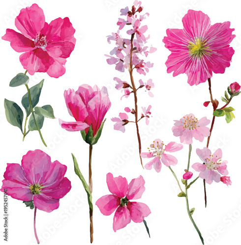 watercolor set of pink flowers