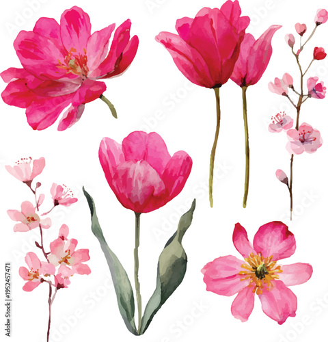 Floral Watercolor Illustration Pink Flowers
