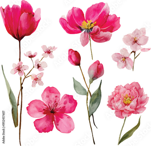 Watercolor Botanical Pink Blooms Pack