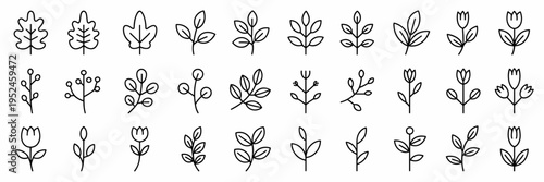 Botanical branch and leaf set - Great for eco-friendly products, minimalist posters, or interior decor art.