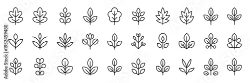 Elegant plant outline icons - Perfect for wellness branding, skincare labels, or sophisticated web design.