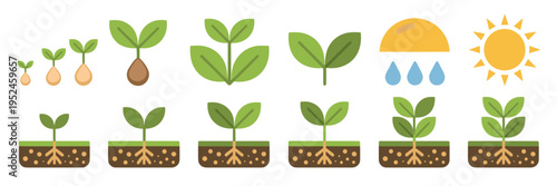 Nature lifecycle diagram icons - Perfect for science infographics.