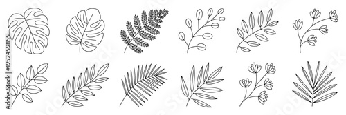 Organic botanical leaf vector graphics bundle - Perfect for wellness products, nature-themed websites, or textile design.