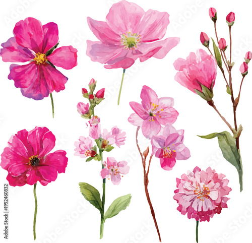 Hand Drawn Watercolor Floral Elements