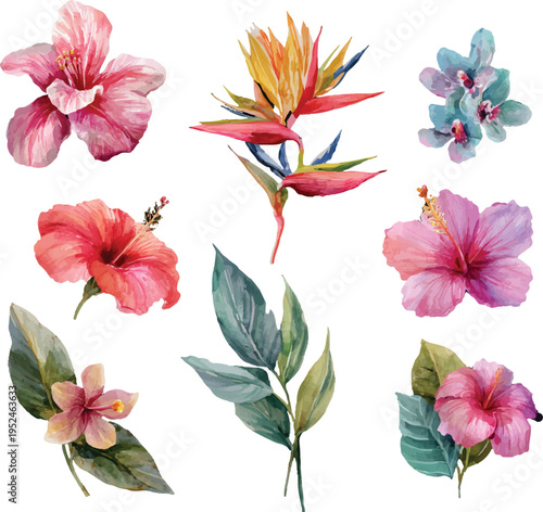 set of flowers and leaves