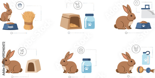 Rabbit Care and Feeding Process Vector Illustration Showing Pet Bunny Food, Hay, Shelter, Hygiene, and Daily Care Routine for Animal Welfare Design