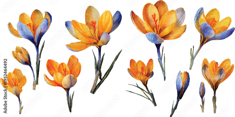 Obraz premium yellow and blue flowers