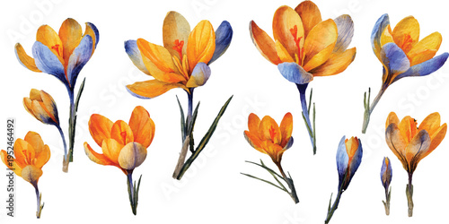 yellow and blue flowers