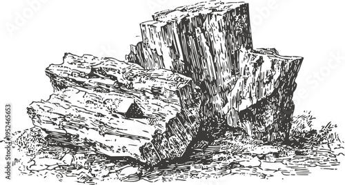 Detailed black and white sketch of broken tree stump with textured wood and bark elements