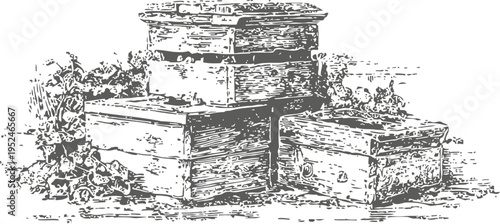 Vintage wooden beekeeping boxes stacked outdoors with plants, rustic apiary equipment illustration