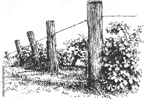 Rustic wooden fence with barbed wire and wild plants, countryside nature landscape drawing