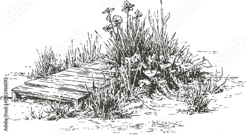 Rustic wooden garden walkway surrounded by wild plants and blooming flowers in natural setting