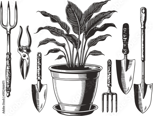 garden tools set with potted plant hand rake, pruning shears, trowels, garden fork illustration black and white vintage