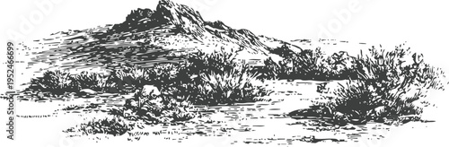 Desert landscape sketch with rocky mountain and sparse vegetation in monochrome