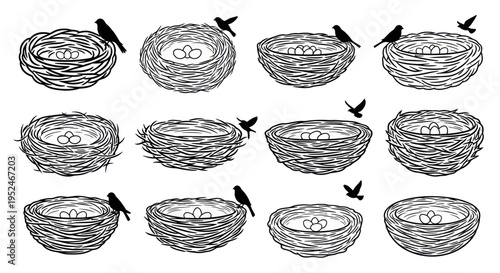 Bird Nests with Eggs and Silhouette Birds Collection - Hand Drawn Illustration