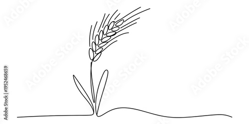 Minimalist continuous line drawing of a single wheat stalk with grains and leaves on white background.
