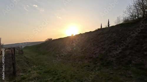 Dog Silhouette at Sunset Over Vineyard Horizon Scenic Landscape