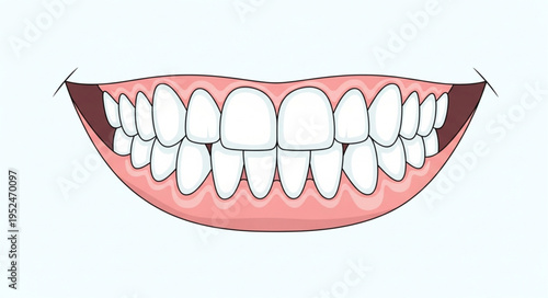 Illustration of a full set of human teeth in the mouth.