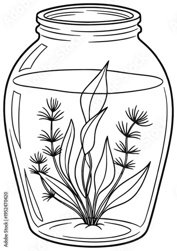 Outline drawing of aquarium with aquatic plants in clear glass bowl