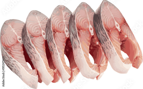 Row of Six Raw Salmon Fish Steaks with Visible Marbling and Skin on White seafood