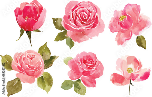 Pink Rose Watercolor Clipart with Leaves Isolated