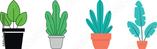 Collection of four distinct houseplant illustration arranged in horizontal row  flat style vector isolated on transparent background