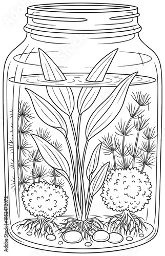 Detailed coloring page illustration of glass jar with various aquatic botanics