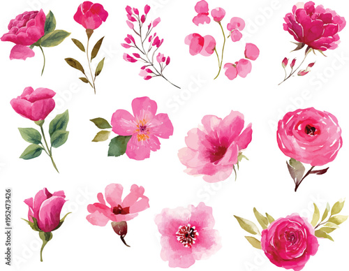 pink roses flowers in watercolor