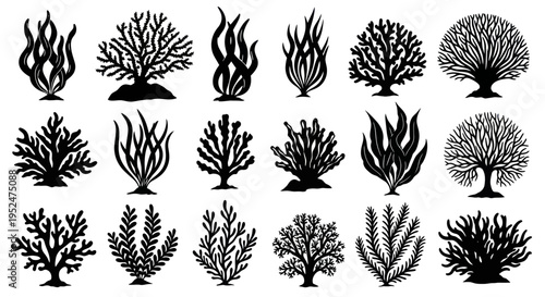 Set of Black Silhouette Coral and Seaweed Illustrations for Underwater Design