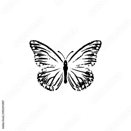 butterfly vector illustration, Hand Drawn Butterfly Sketch Detailed Line Art Illustration