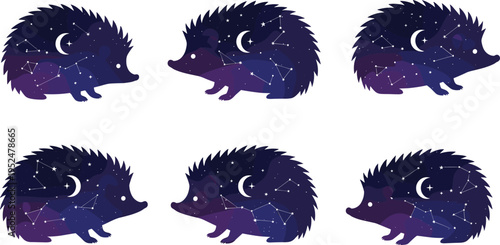 Galaxy hedgehog vector set with cosmic night sky patterns, cute animal silhouettes and magical space themed illustration collection