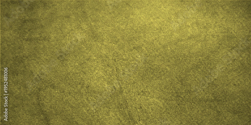 Subtle textured background with a weathered look, inviting the viewer to appreciate the delicate interplay of light and shadow, evoking a sense of age and depth.