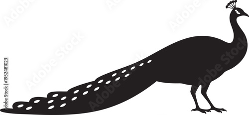 Striking black vector illustration of a proud male peacock showing its long decorative tail feathers in silhouette design