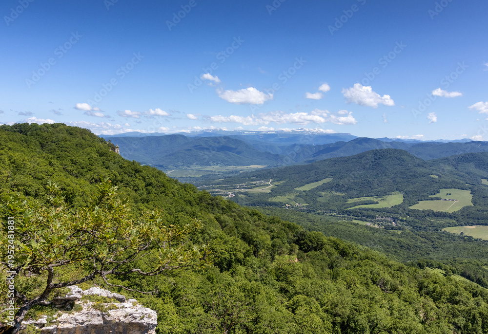 Obraz premium Forest on rocky mountain surfaces, summer day in nature, and green vegetation, panorama of the area
