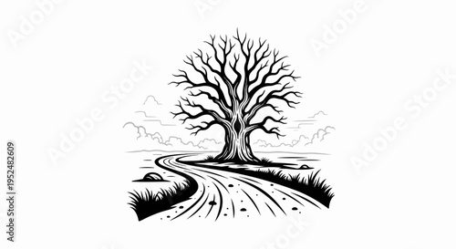 Stark, bare tree stands by a winding, gravel path under cloudy skies
