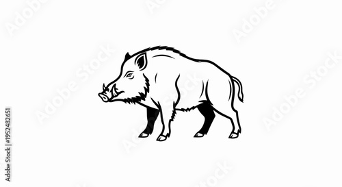 Stylized black and white illustration of a wild boar
