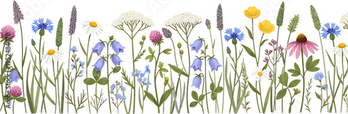Vibrant Wildflower Meadow Border Seamless Illustration with Diverse Botanical Elements