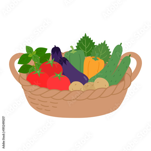 カゴに盛り合わされた新鮮な夏野菜の詰め合わせ