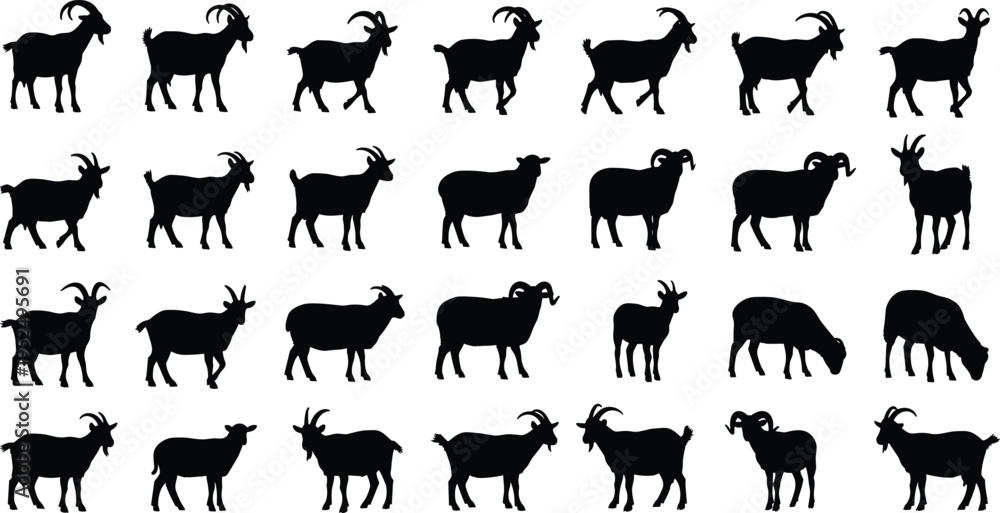 Obraz premium Goat silhouette collection, farm animal poses including standing, walking and grazing goats, livestock agriculture illustration set