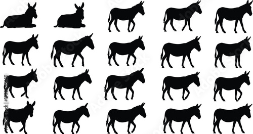 Donkey silhouettes collection with standing, walking and resting poses, farm animal mule characters isolated illustration set for agriculture and livestock design