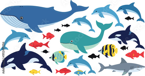 A collection of colorful marine life illustrations featuring whales dolphins and tropical fish isolated on white background, Vector