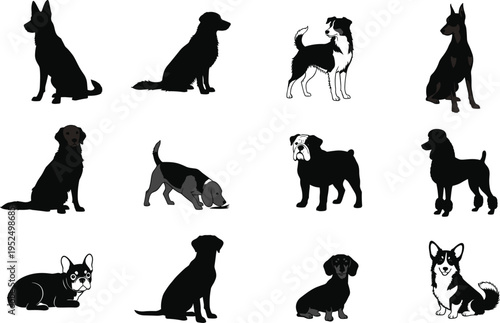 Dog breed silhouette collection set featuring different domestic dogs sitting, standing and playing, isolated on white background, pet animals vector illustration for design