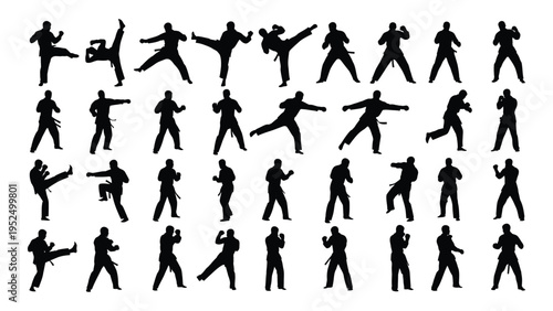 Collection of various karate poses and movements