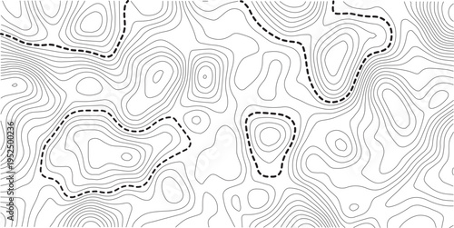 topographic line contour map background, geographic grid map, stock vector illustration. white background topo.