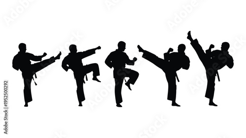 Silhouettes of people practicing different karate moves