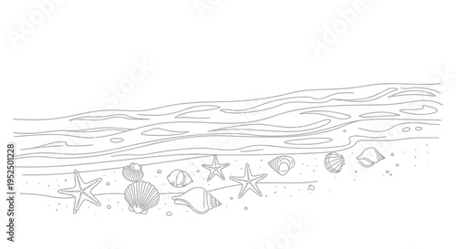 Set of sea creatures and shells vector illustration
