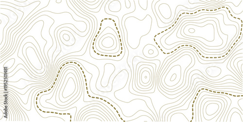 topographic line contour map background, geographic grid map, stock vector illustration. white background topo.