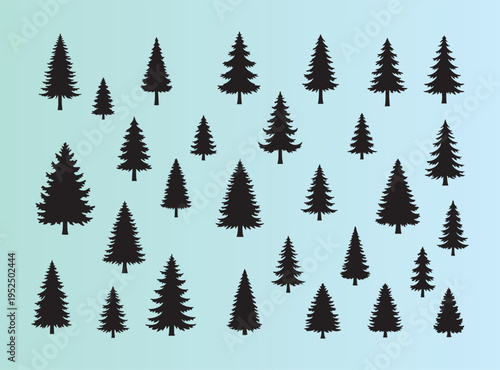 Assorted evergreen trees in various sizes isolated on transparent background