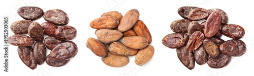 Cocoa beans isolated on white, set. Top view