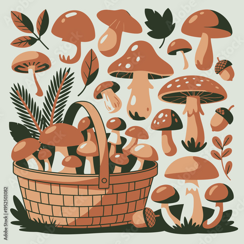 Basket full of mushrooms and forest elements, autumn harvest illustration